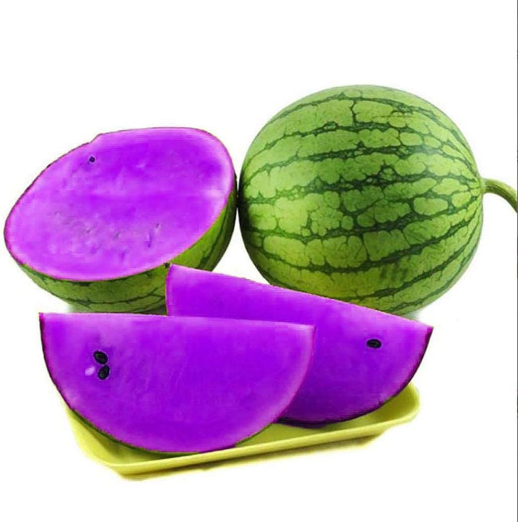 Marmelos Fruit Seeds for Cultivating Quince Trees 100 Pcs pcs