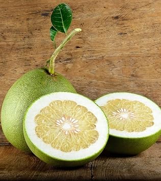 Melon Pinonet Fruit Seeds for Planting – Grow Tropical and Refreshing Fruits at your Home Garden