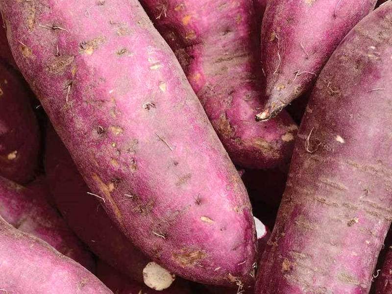 Purple Potato Seeds for Planting - Unique Vegetable heirloom & Non GMO Seeds