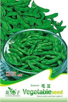100 Pcs