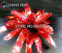 Red Bromeliad Plant Seeds for Planting - 100 pcs for planting in your garden.