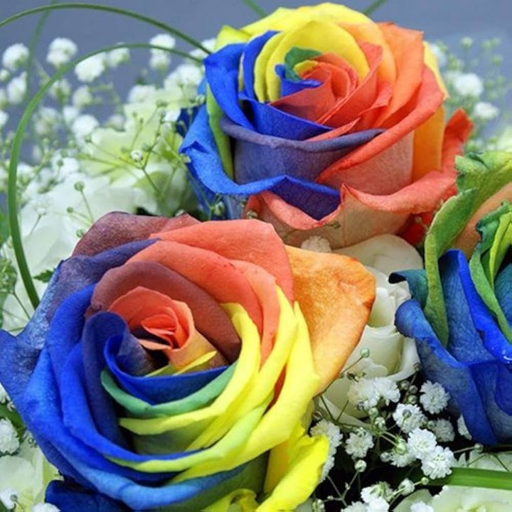 Heirloom Non-GMO Rainbow Mixed Flower Seeds for Planting – Colorful Blend of Seasonal Garden Blooms