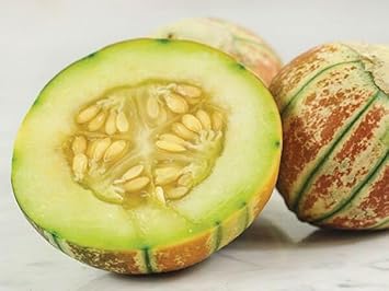 Kajari Melon Seeds for Planting - 100 Pcs pcs