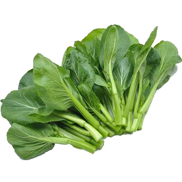 Green Choy Sum Seeds for Planting - Fresh Vegetable - heirloom & Non GMO Seeds
