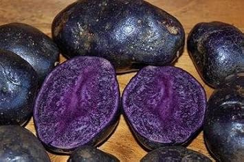 Purple Potato Seeds for Planting - Unique Vegetable heirloom & Non GMO Seeds