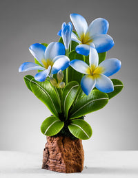 Blue Yellow Frangipani Flower Seeds – Heirloom Non-GMO Plumeria Seeds for Gardens