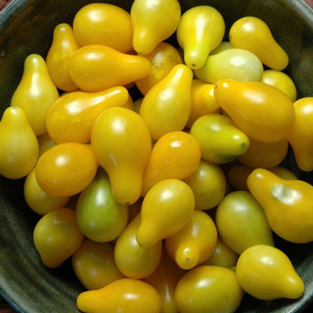 Tomato Vegetable Seeds for Planting – Light Yellow Variety
