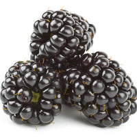 Dewberry/Blackberry Planting Seeds - Non-GMO, Heirloom