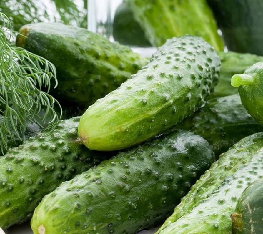 Cucumber Lyalyuk Mini Pickling Vegetable Seeds for Planting - heirloom & Non-GMO Seeds