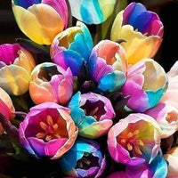 Futuba Rainbow Tulips Flower Seeds for Planting â€“ Vibrant, Heirloom, Non-GMO Seeds for planting in home garden