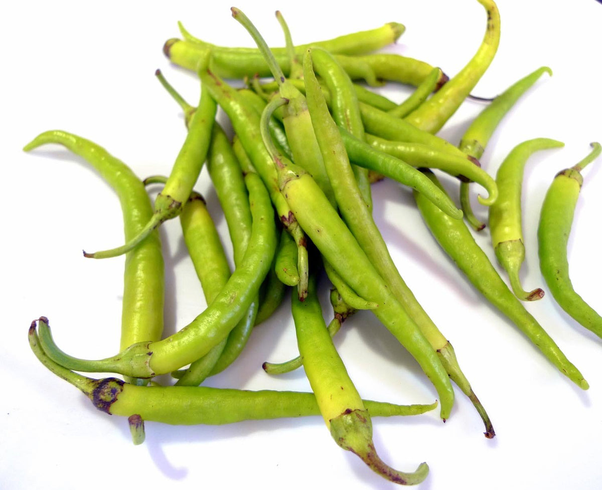 Guindilla Pepper Seeds for Planting heirloom & Non-GMO Seeds
