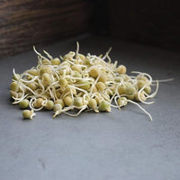 Green Pea Sprouting Seeds for Indoor Sprouting, Microgreens & Home Growing
