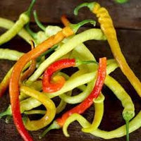 Corbaci Pepper Vegetable Seeds for Planting - 100 Pcs pcs