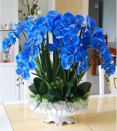 100 Pcs