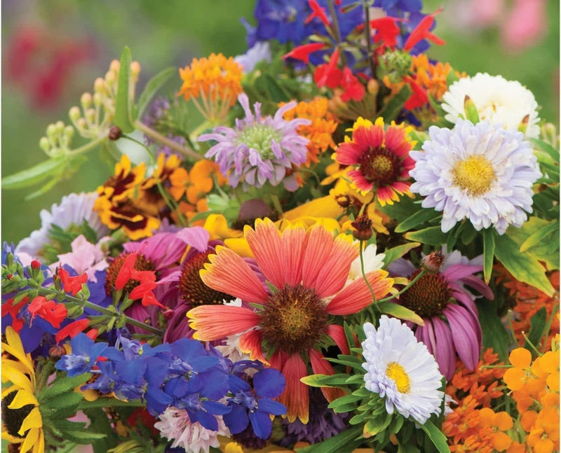 Mix Apple Blossom Flower Seeds for Planting - 100 pcs for planting in your garden.