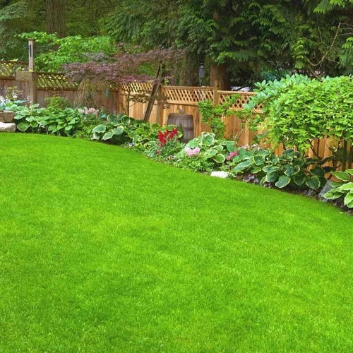 Lush green lawn with garden beds and wooden fence in the background