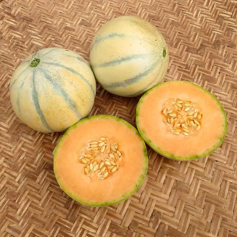 Charentais Vegetable Seeds for Planting - 100 Pcs pcs