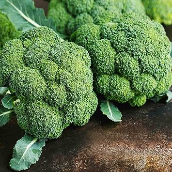 Broccoli Seeds for Planting - 100 Pcs pcs
