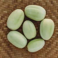 Dragon's Egg Cucumber Seeds for Home Garden Planting | Heirloom Non-GMO