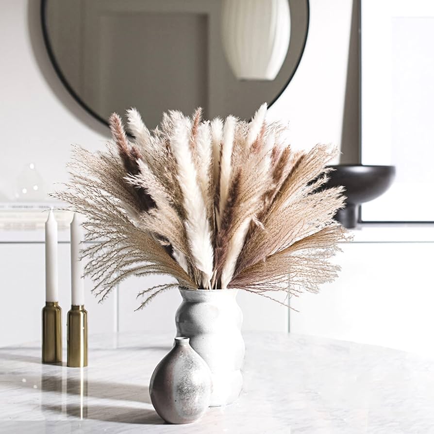 Brown Pampas Grass Seed