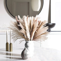 Brown Pampas Grass Seed