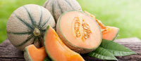 European Cantaloupe Cucumis melo seeds for planting in home garden