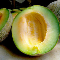 Ice cream cantaloupe fruit seeds
