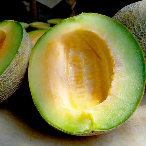 Ice cream cantaloupe fruit seeds