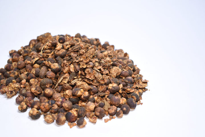 Banyan Tree Seeds for Planting – Heirloom, Non-GMO Sacred Fig Tree for Bonsai or Garden