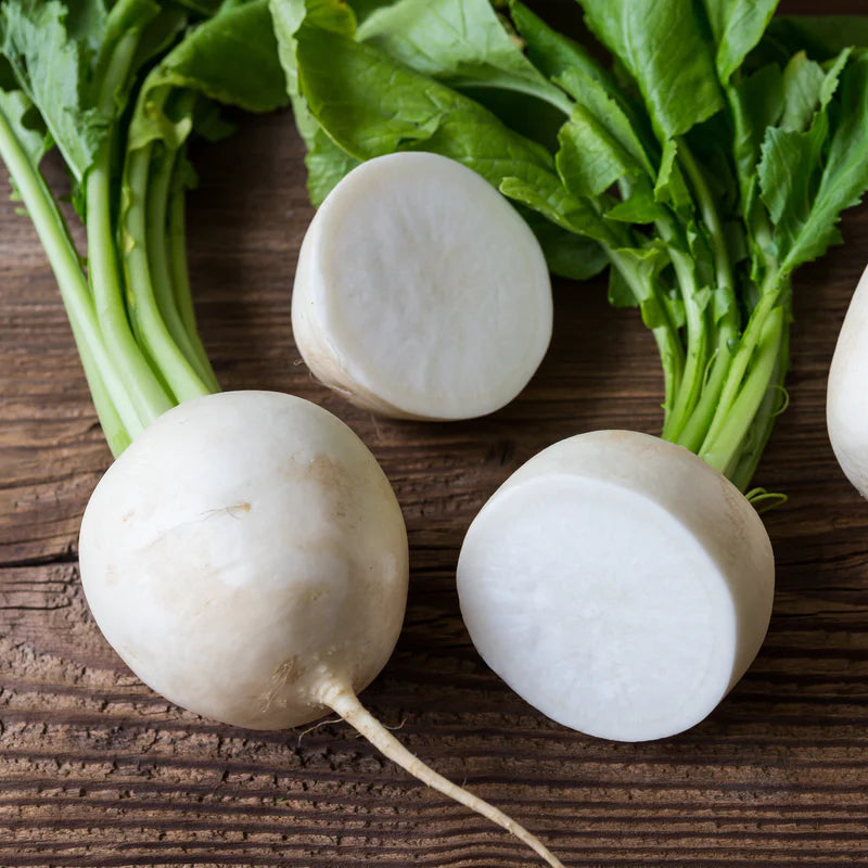 Seventop Turnip vegetable seeds for Planting - heirloom & Non-GMO Garden Seeds