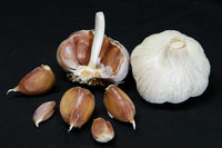 Brown black garlic Allium sativum seeds for planting in home garden