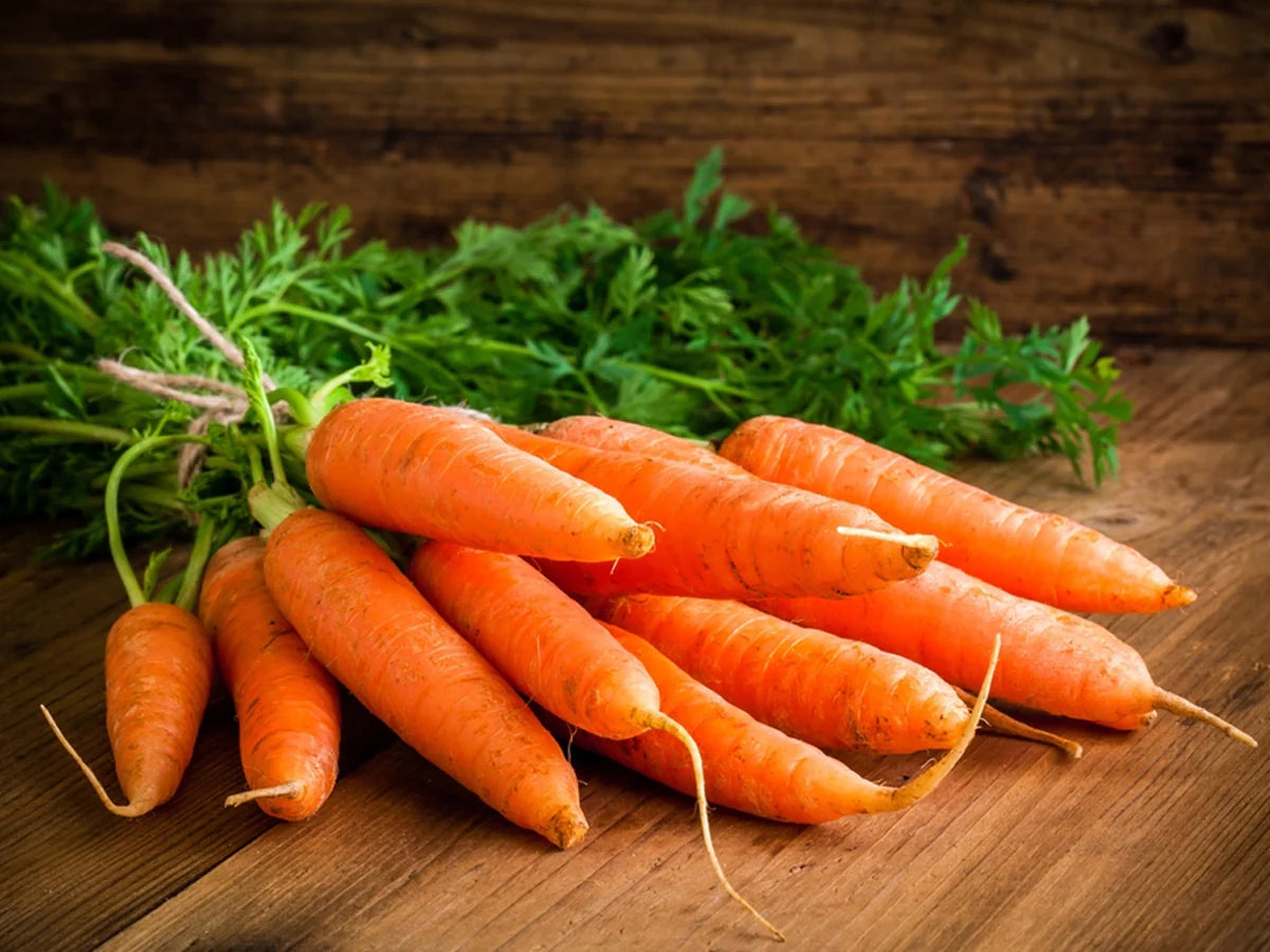 Carrot plants thriving in a home vegetable garden.

