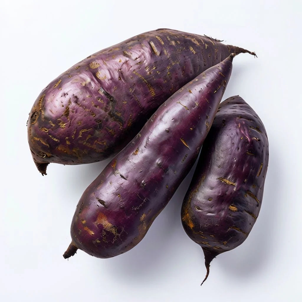 Deep Purple Sweet Potato Seeds for Planting - heirloom & Non GMO Seeds