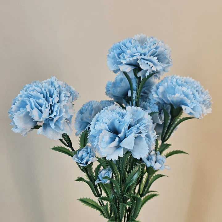 Deep Blue Carnation Flower Seeds – Heirloom, Non-GMO Flower Seeds for Planting