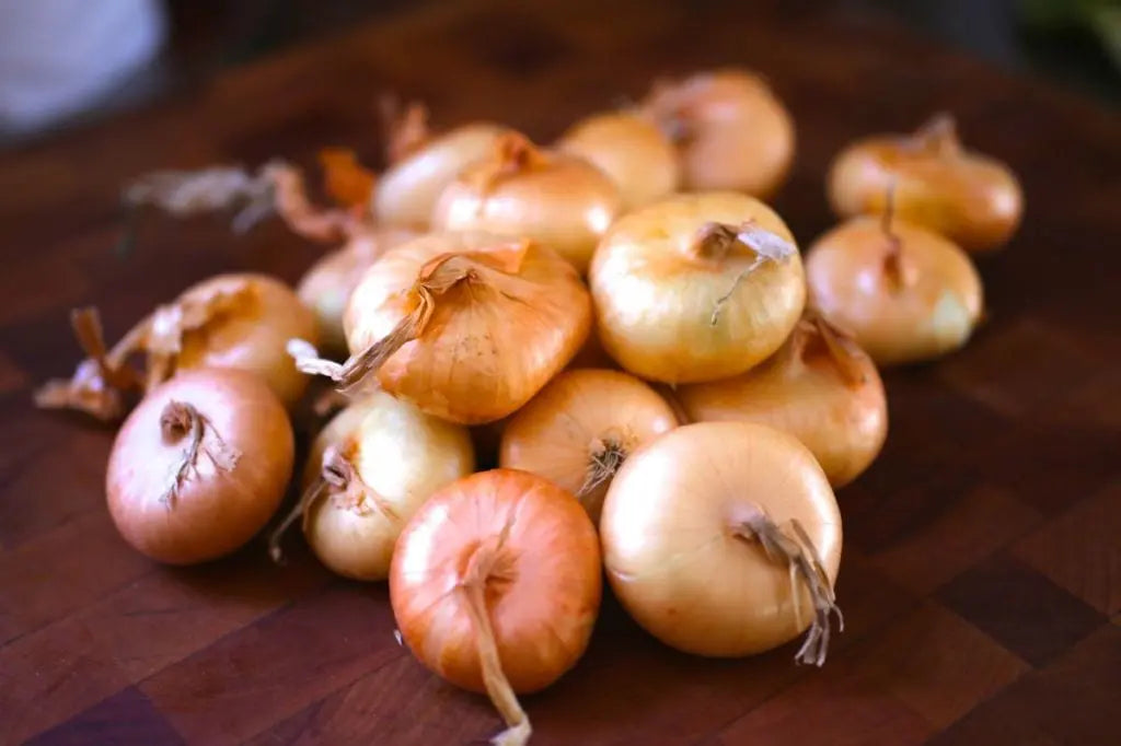 Cipollini Yellow Onion Seeds for Planting – Sweet Coin Shaped Heirloom Onion Vegetable Seeds