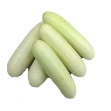 White Cucumber Cucumis sativus seeds for home garden planting