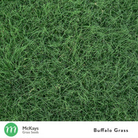 Buffalo Grass Seed Blend - Eco-Friendly, Drought-Tolerant Lawn Solution