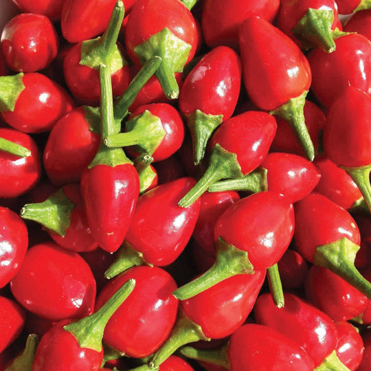 Heirloom Chilitepin Plant Seeds, Non-GMO Wild Pepper Seeds for Spicy Vegetable Garden Planting