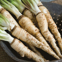Salsify Vegetable Seeds for Planting heirloom & Non-GMO Seeds