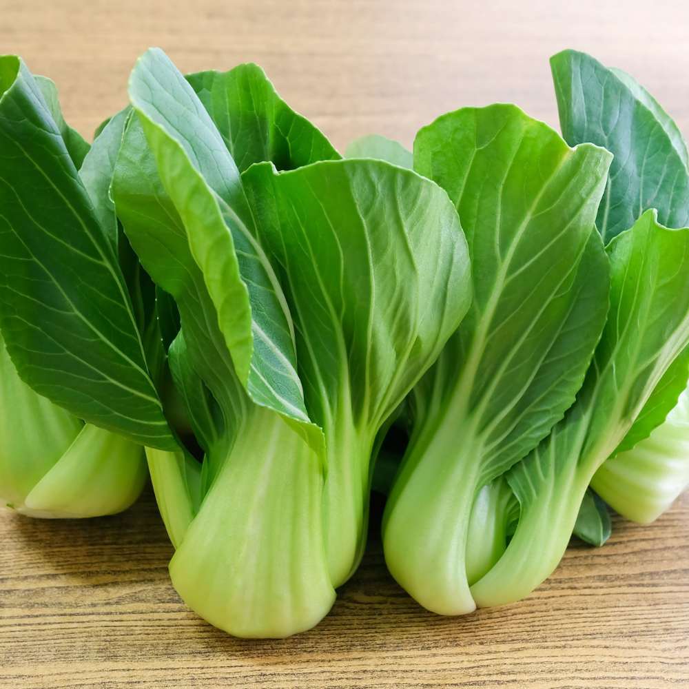 Green Bok Choy Chinese Cabbage Seeds – Pak Choi Vegetable for Garden Growing