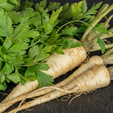 Hamburg Parsley Vegetable Seeds for Planting - 100 Pcs pcs