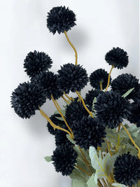 Black Pompon Dahlia Flower Seeds for Planting - Heirloom & Non-GMO Seeds, Beautiful Blooms