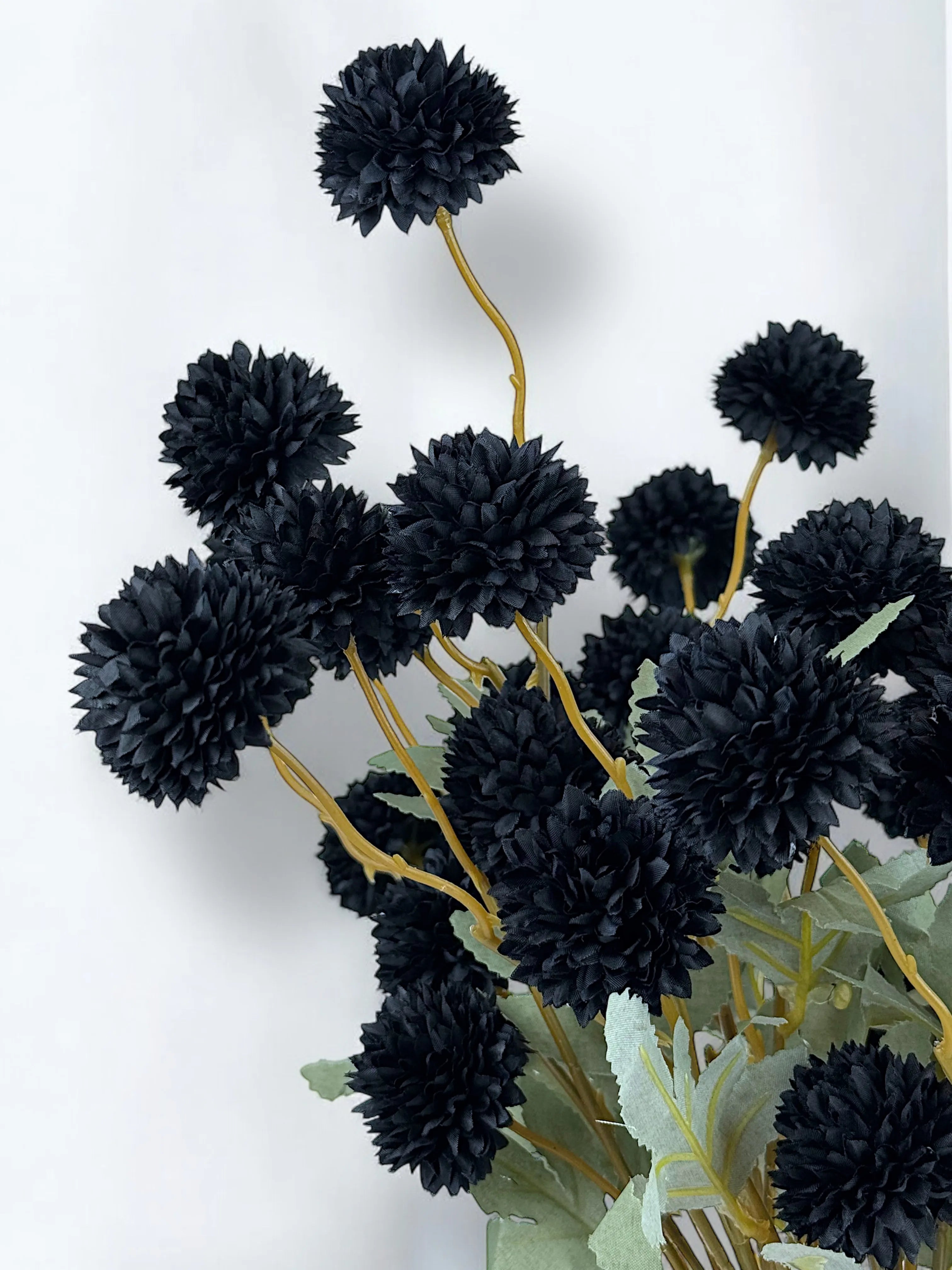 Black Pompon Dahlia Flower Seeds for Planting - Heirloom & Non-GMO Seeds, Beautiful Blooms