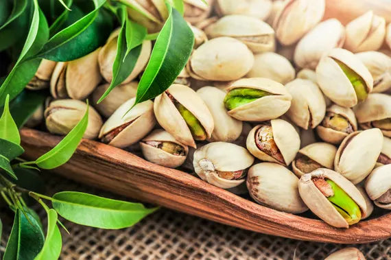 Pistachio Nut Tree (Pistacia vera) seeds ready for planting.
