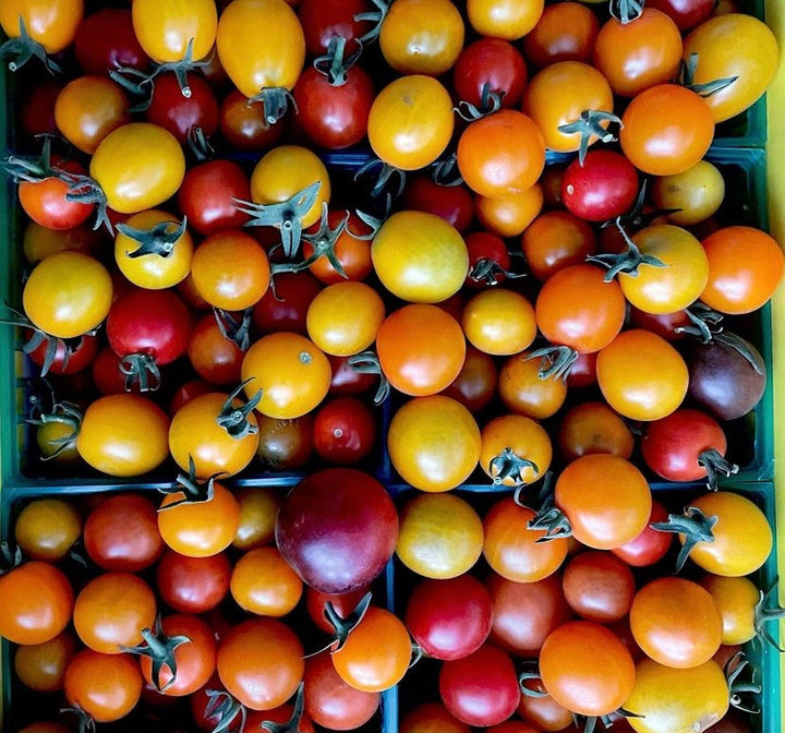 Heirloom Mixed Colour Rainbow Cherry Tomato Seeds for Planting - Non-GMO Garden Seeds