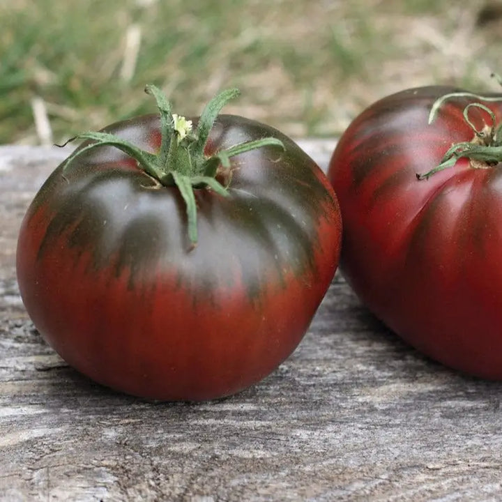 Paul Robeson Tomato Seeds for Planting - Heirloom & Non-GMO Garden Seeds