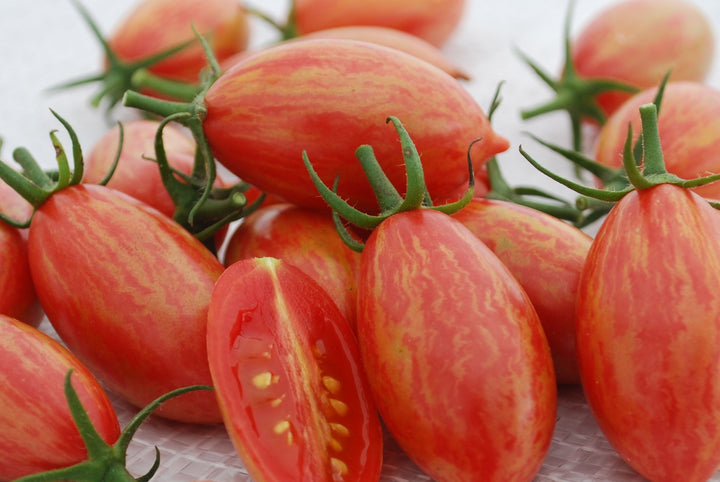 Tomato Cherry Artisan Pink Tiger Vegetable Seeds for Planting - Heirloom Garden Seeds