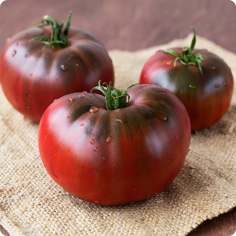 Red Black Tomato Vegetable Seeds for Planting, heirloom & Non-GMO Seeds