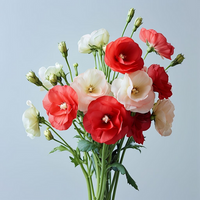 White & Red Eustoma (Lisianthus) Flower Seeds for Planting - Heirloom, NON-GMO Garden Seeds