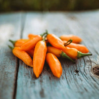 Aji Amarillo Chile Pepper heirloom seeds for home garden planting